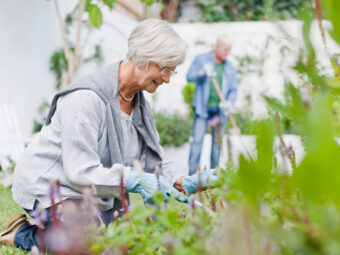 Older couple gardening in backyard